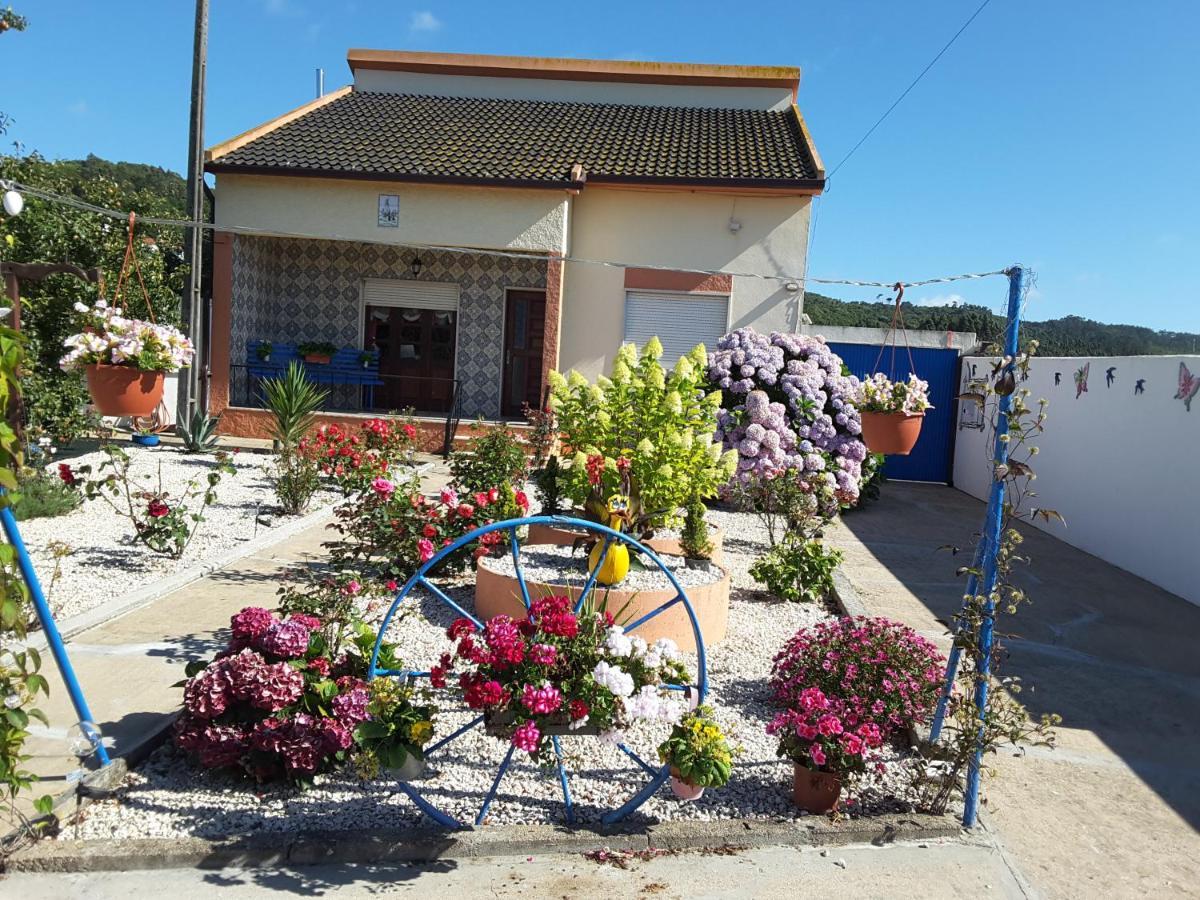 Апартаменти Ranch Lau&Ri Nazare Cela Velha Екстер'єр фото